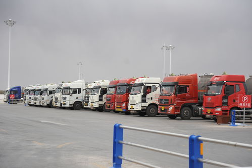 寧夏道路運輸市場持續回暖 貨運代理展現新活力